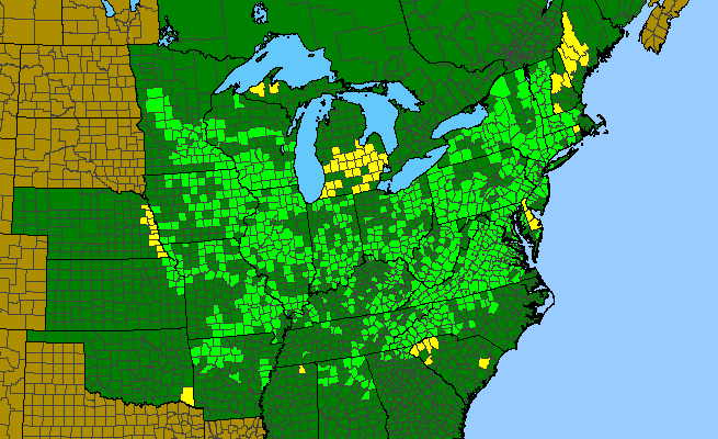 The range of Galearis spectabilis